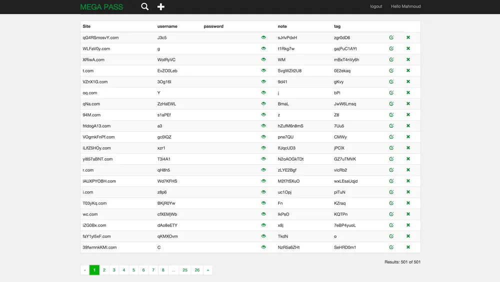 MEGA-PASS - Screenshot 1 - Web App project