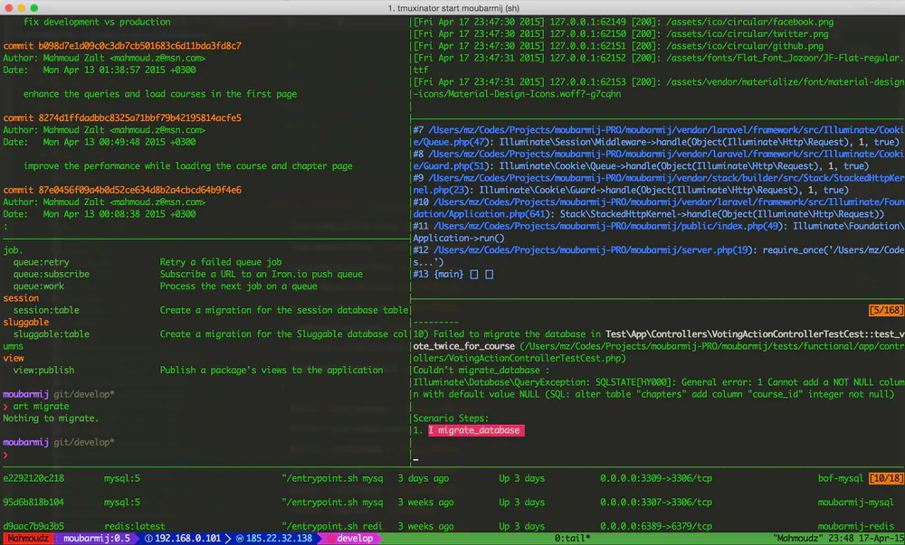 MEGA Term - Screenshot 1 - Developer Tool, CLI project