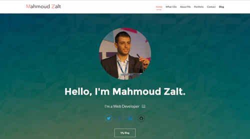 Zalt Portfolio v5 - Website project